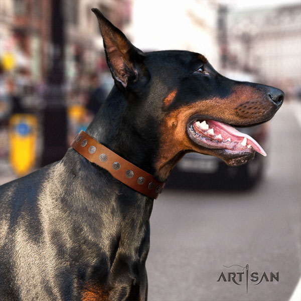 Doberman leather dog collar with studs for your attractive dog