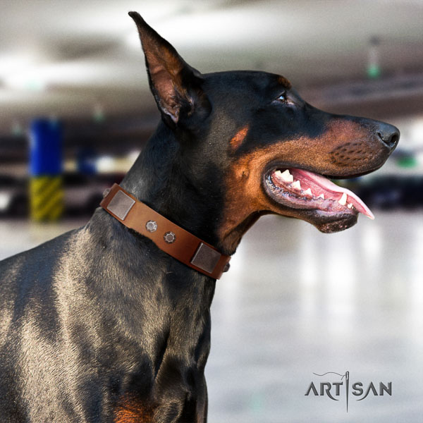 Doberman genuine leather dog collar with embellishments for your attractive doggie