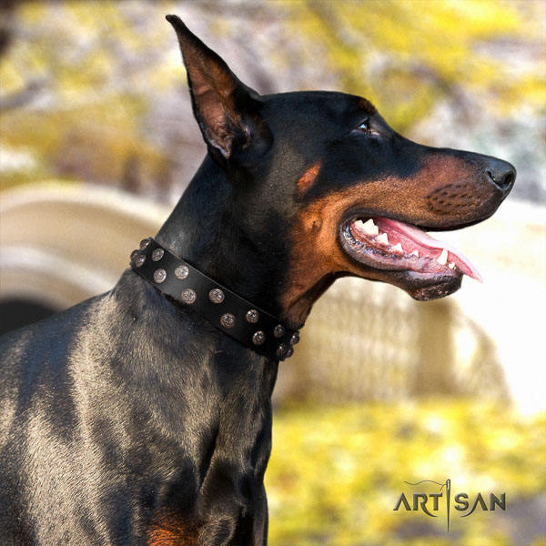 Doberman full grain natural leather dog collar with adornments for your stylish four-legged friend