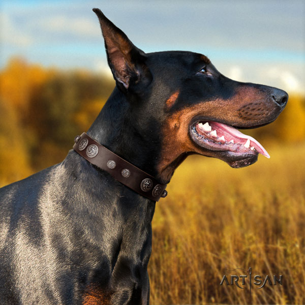 Doberman full grain leather dog collar with studs for your beautiful canine