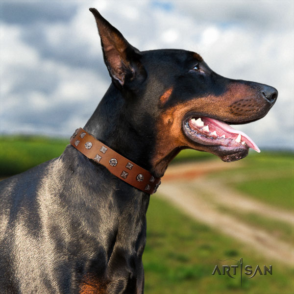 Doberman full grain leather dog collar with embellishments for your beautiful canine