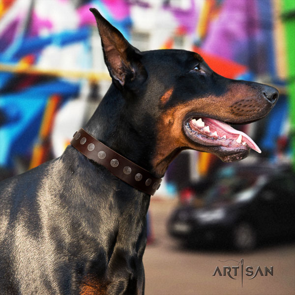 Doberman full grain natural leather dog collar with embellishments for your attractive doggie