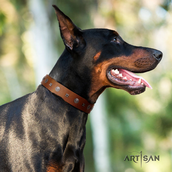 Doberman full grain natural leather dog collar with adornments for your attractive canine