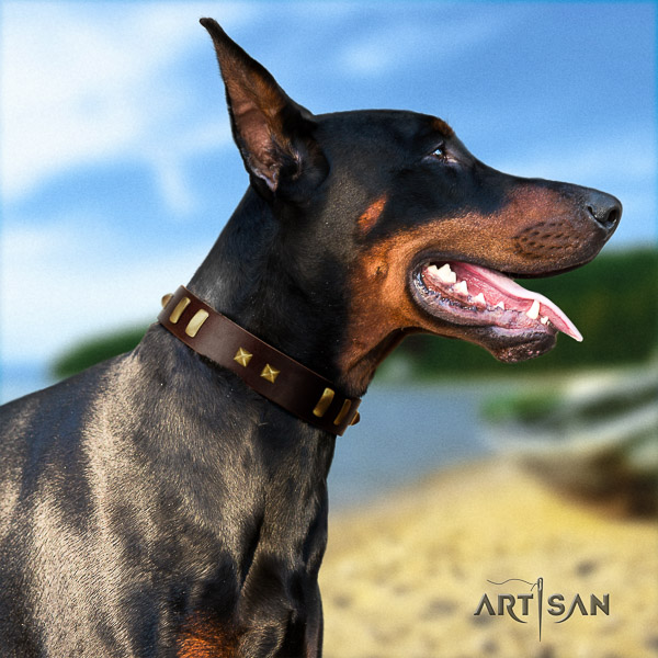 Doberman comfortable wearing full grain leather dog collar with embellishments