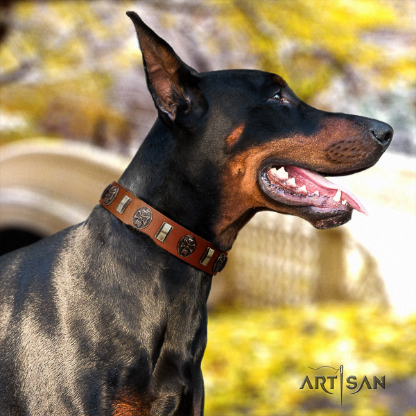 Doberman walking natural genuine leather dog collar with embellishments