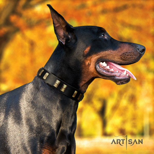 Doberman everyday use natural genuine leather dog collar with adornments