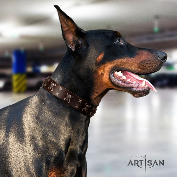 Doberman leather dog collar with studs for your stylish doggie