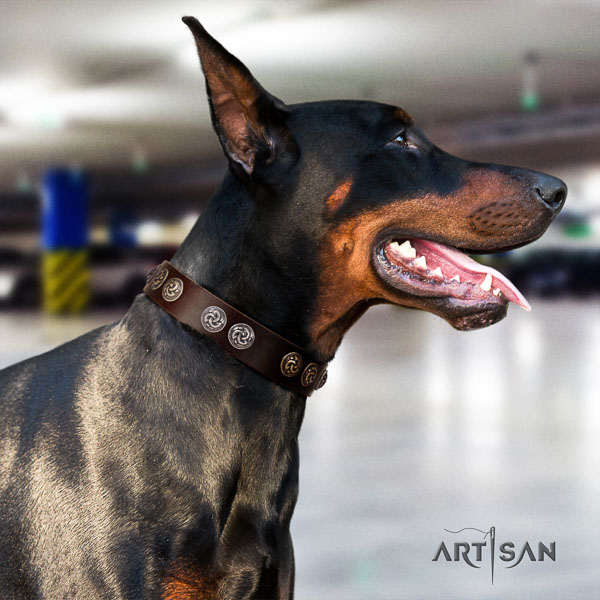 Doberman genuine leather dog collar with embellishments for your beautiful four-legged friend