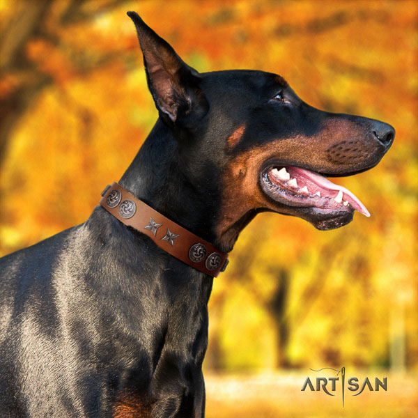 Doberman natural genuine leather dog collar with studs for your attractive doggie