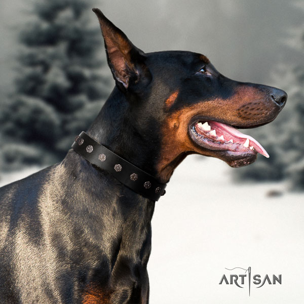 Doberman full grain genuine leather dog collar with adornments for your lovely four-legged friend