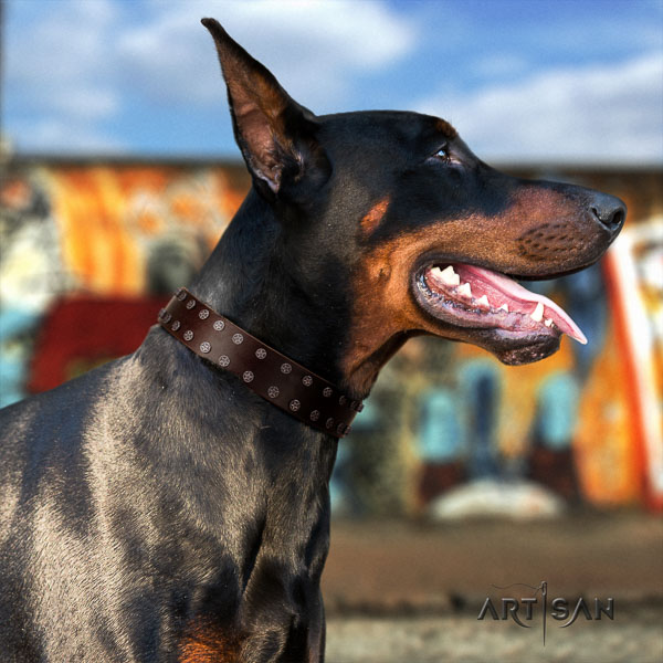 Doberman leather dog collar with decorations for your lovely four-legged friend