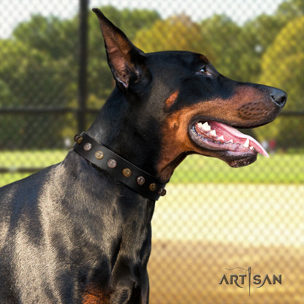 Doberman leather dog collar with embellishments for your lovely dog