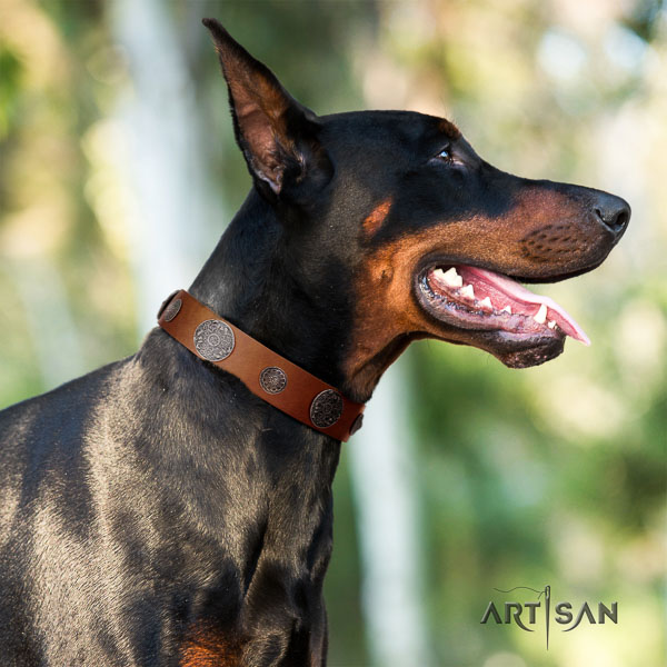 Doberman full grain natural leather dog collar with decorations for your lovely doggie