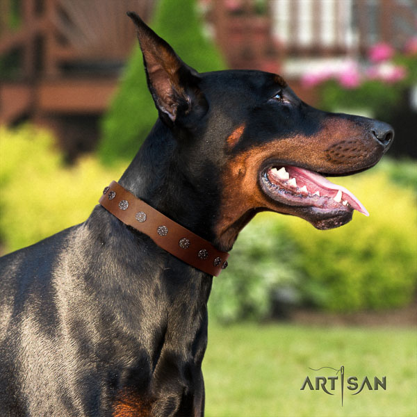 Doberman natural genuine leather dog collar with decorations for your lovely doggie