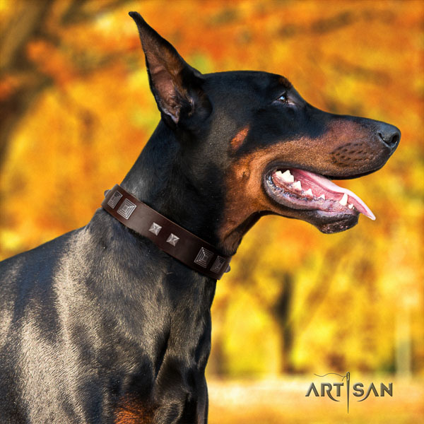 Doberman full grain natural leather dog collar with studs for your attractive canine