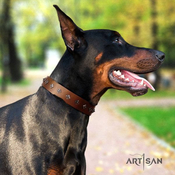 Doberman full grain natural leather dog collar with embellishments for your attractive canine