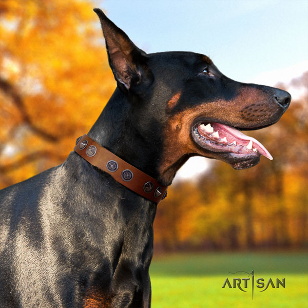Doberman natural genuine leather dog collar with embellishments for your impressive doggie