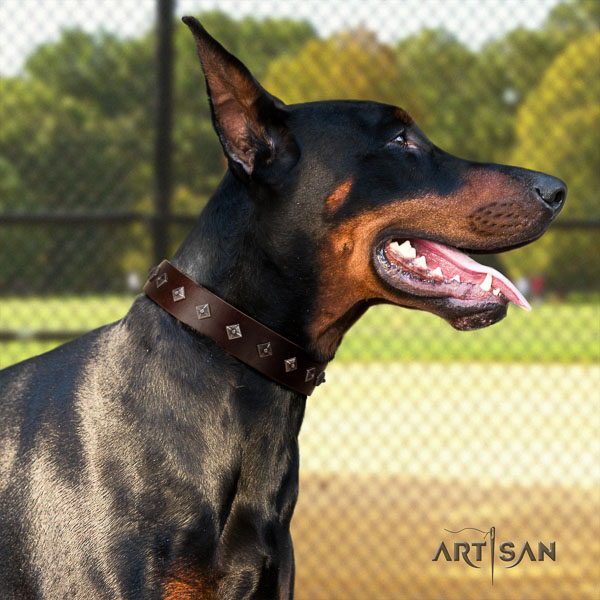 Doberman full grain leather dog collar with studs for your handsome pet