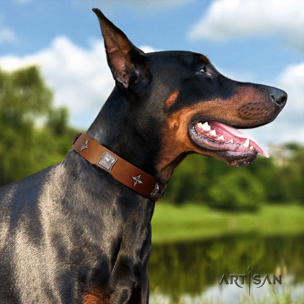 Doberman full grain genuine leather dog collar with embellishments for your beautiful four-legged friend