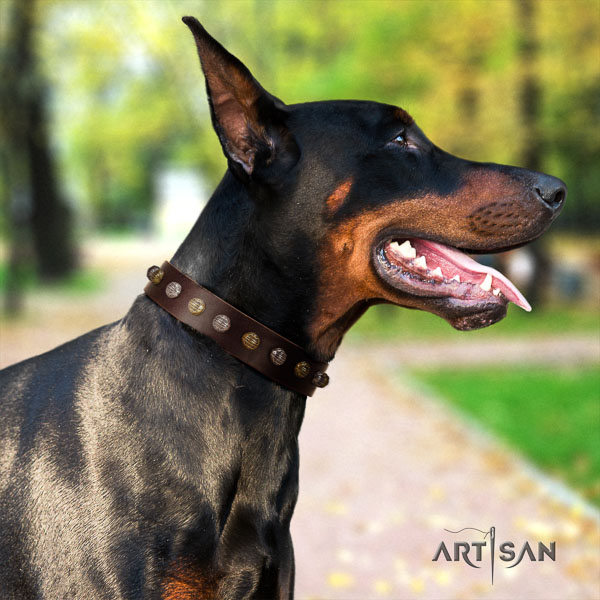 Doberman genuine leather dog collar with adornments for your handsome doggie