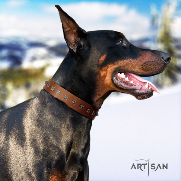 Doberman natural genuine leather dog collar with adornments for your handsome dog