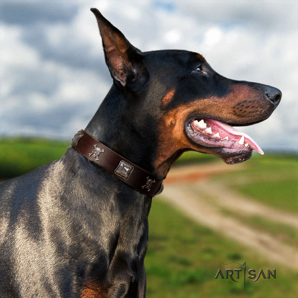 Doberman genuine leather dog collar with decorations for your impressive canine