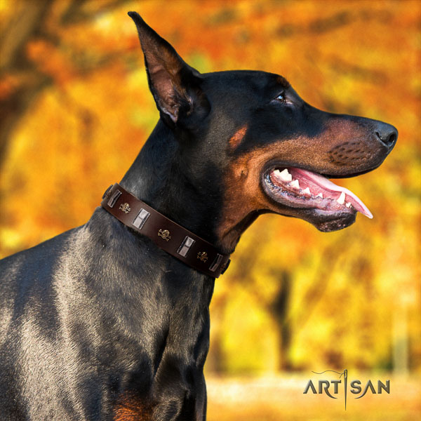 Doberman full grain natural leather dog collar with embellishments for your handsome canine