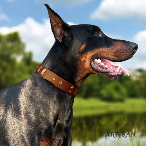 Doberman handy use full grain genuine leather dog collar with decorations