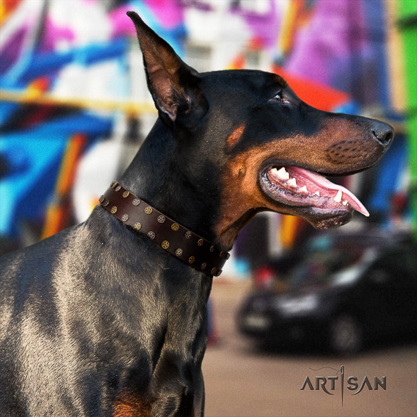 Doberman walking genuine leather dog collar with embellishments