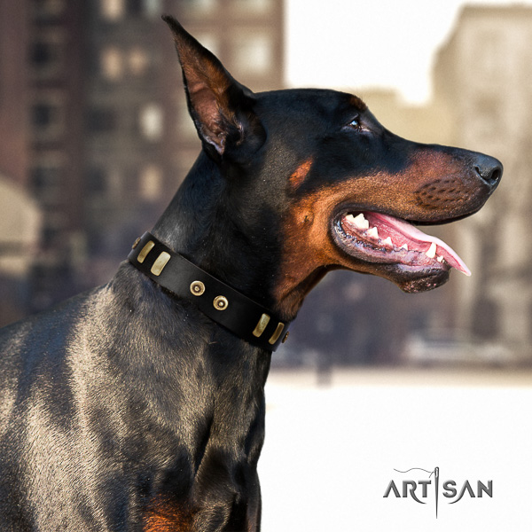 Doberman daily use full grain leather dog collar with embellishments