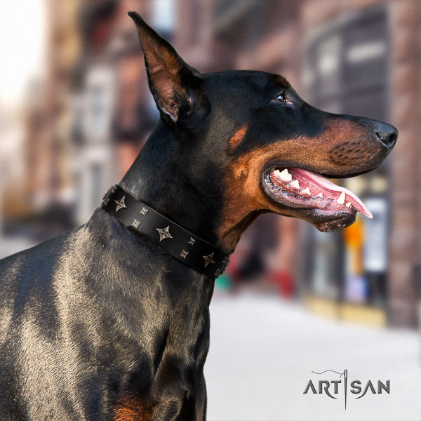 Doberman full grain genuine leather dog collar with studs for stylish walking