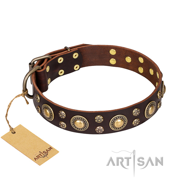 Significant natural genuine leather dog collar for everyday walking