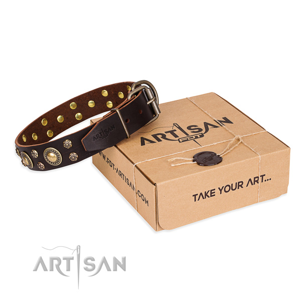 Finest quality natural genuine leather dog collar for everyday walking