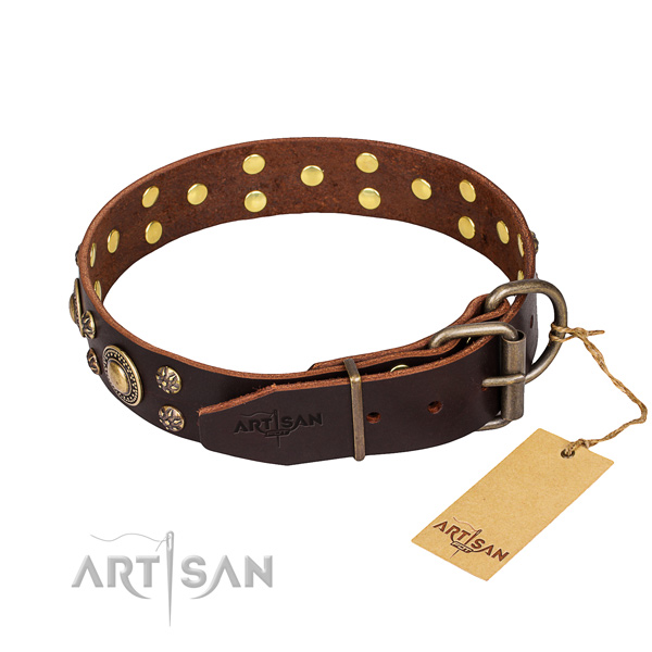 Everyday use full grain leather collar with studs for your four-legged friend