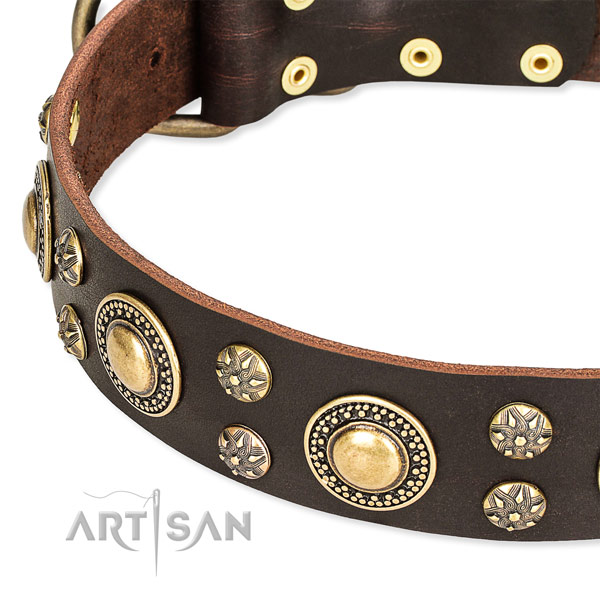 Leather dog collar with incredible studs