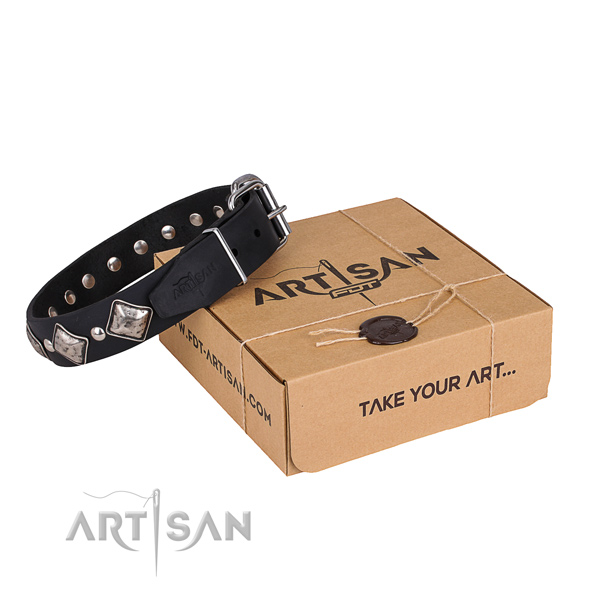 Everyday leather dog collar with astounding decorations