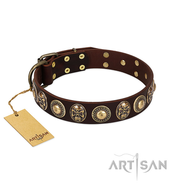Exceptional full grain natural leather dog collar for daily use