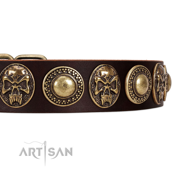 Leather dog collar with decorations for everyday walking