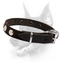 Dependable leather dog collar easy adjustable properly fitting