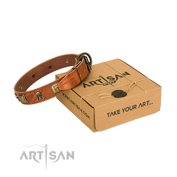 Inimitable natural leather dog collar with corrosion resistant embellishments