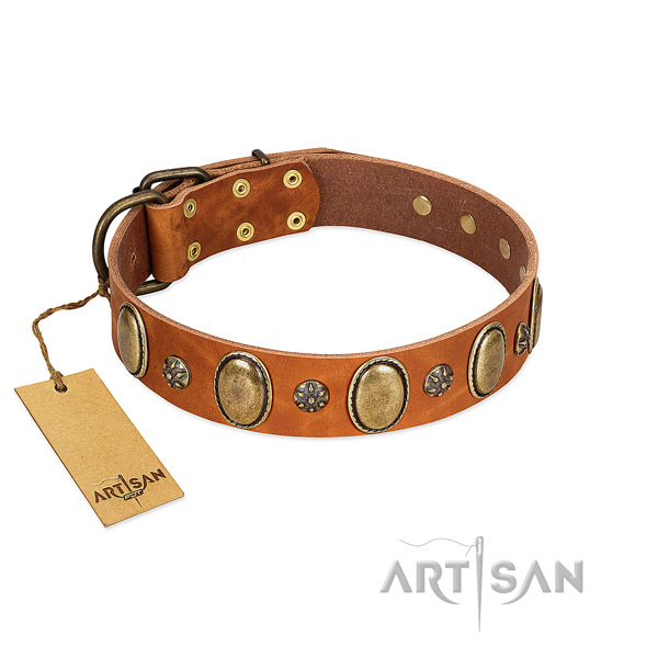 Walking soft to touch genuine leather dog collar with decorations