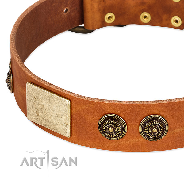 Significant dog collar handmade for your attractive doggie