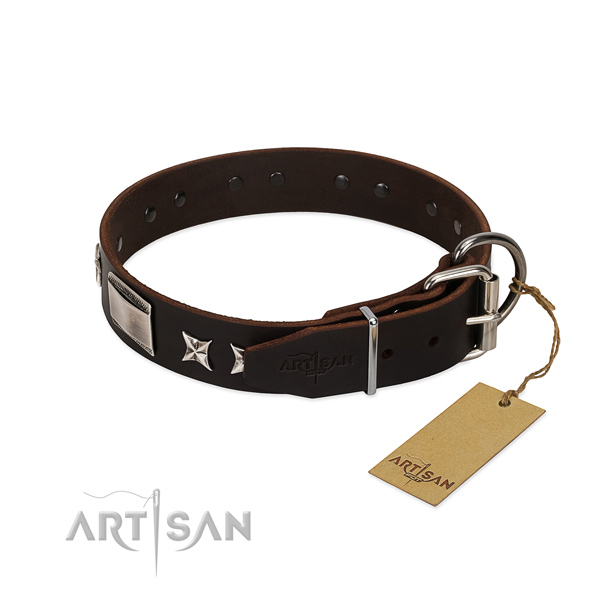 Designer collar of genuine leather for your beautiful dog