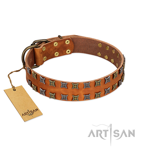 Reliable full grain genuine leather dog collar with studs for your pet