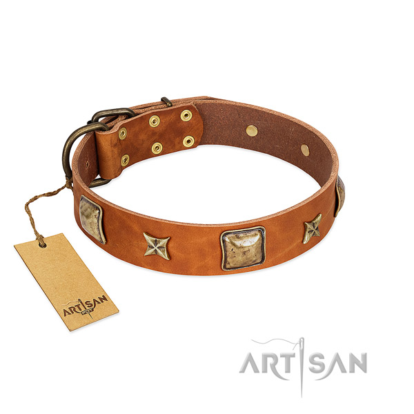Impressive natural genuine leather collar for your doggie