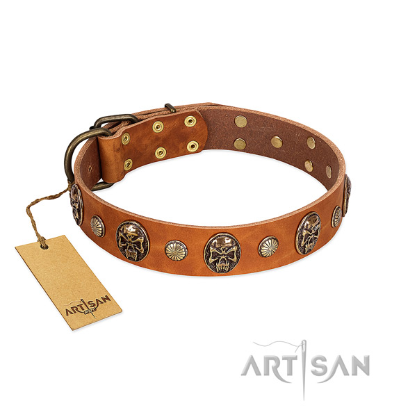 Trendy leather dog collar for fancy walking