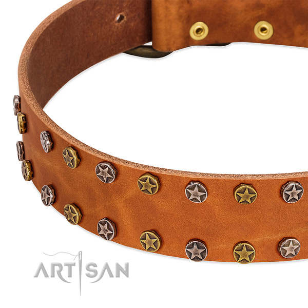 Everyday walking natural leather dog collar with awesome adornments