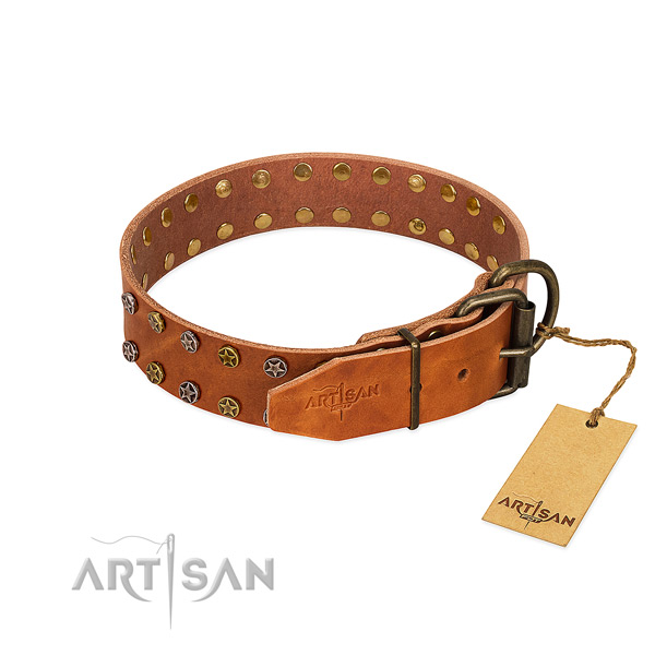 Stylish walking full grain genuine leather dog collar with unusual decorations