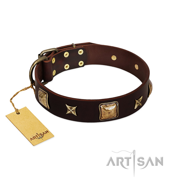Unusual full grain natural leather collar for your pet