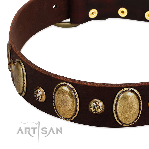 Genuine leather dog collar with stylish design adornments